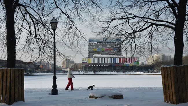 Зима в Москве. Архивное фото