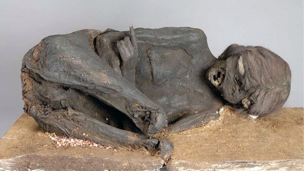 Мумия из Баварской государственной археологической коллекции в Мюнхене