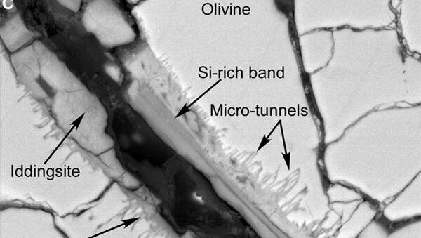 Сканирующая электронная микроскопия показала туннели и микротуннели в метеорите с Марса