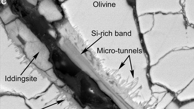 Сканирующая электронная микроскопия показала туннели и микротуннели в метеорите с Марса