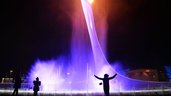 Церемония открытия XI зимних Паралимпийских игр. Событийное фото