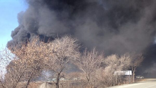 Пожар в селе Раздольное в Приморье. Фото с места событий