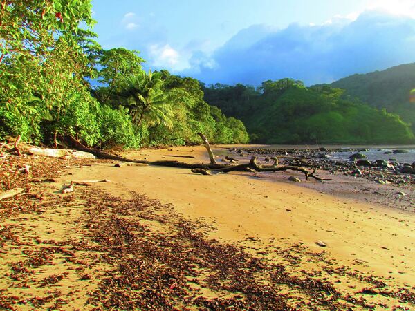 Кокосовый остров у побережья Коста-Рики