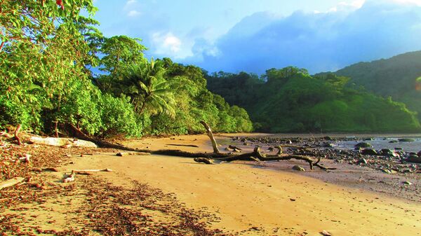 Кокосовый остров у побережья Коста-Рики