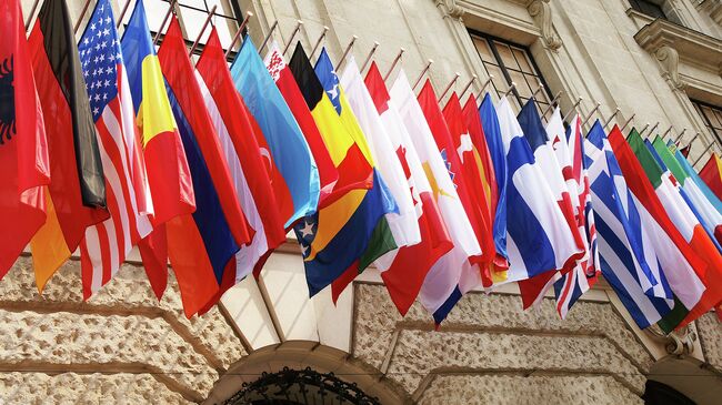 Флаги стран-членов ОЭСР. Архивное фото
