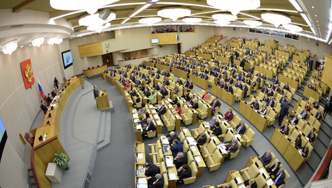 Пленарное заседание Госдумы РФ. Архивное фото