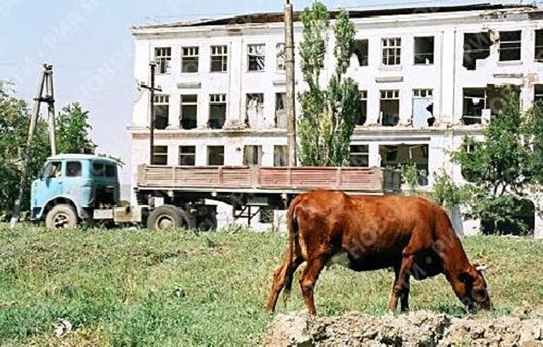 Новый облик Чеченской республики. Грозный 