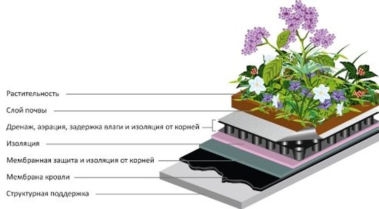 Панда-дом: проект самого зеленого здания в России