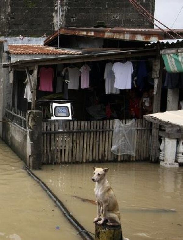 Тысячи домов и целый город разрушены стихией в Юго-Восточной Азии