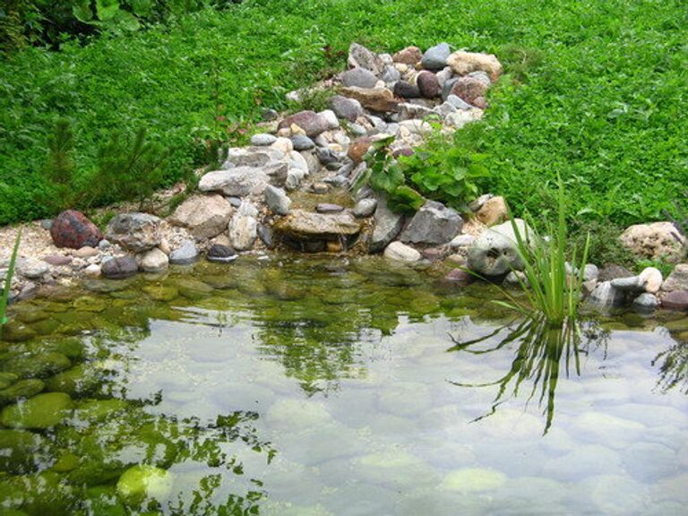 Искусственный водоем на даче