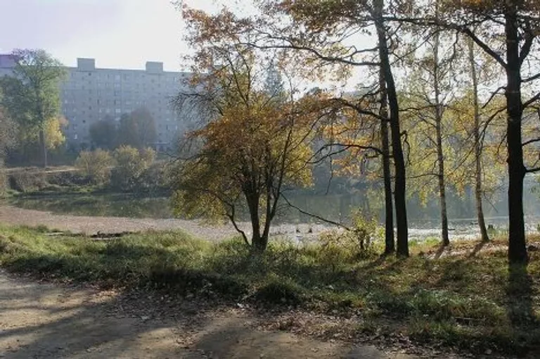 Власиха Власиха