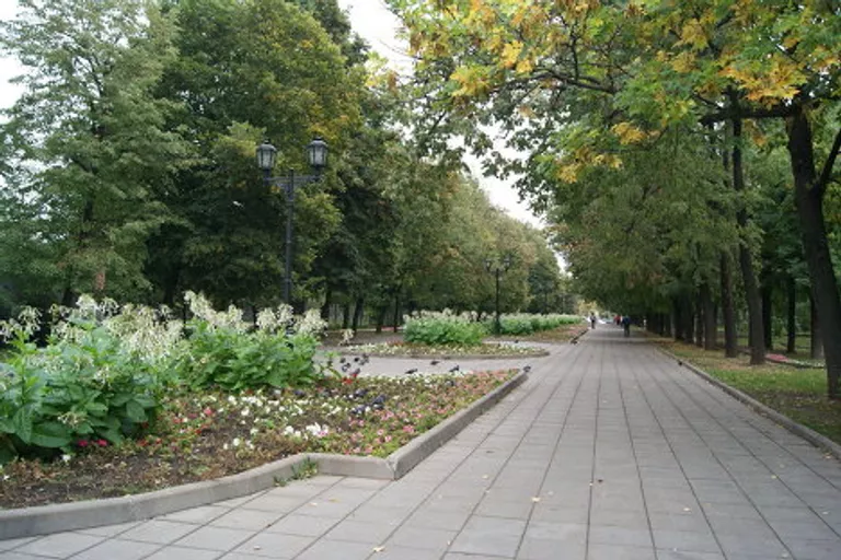 Плющиха. Плющиха.