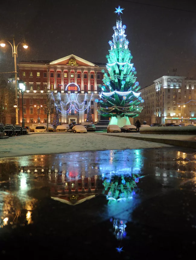 Новогодние елки в Москве