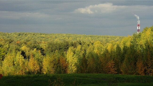 Битцевский парк. Архивное фото