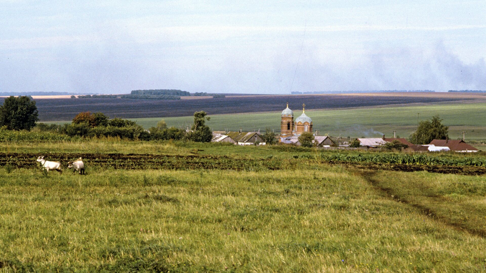 Куликово поле - РИА Новости, 1920, 28.07.2021