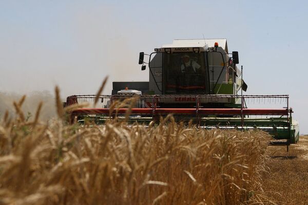 Уборка урожая на пшеничном поле