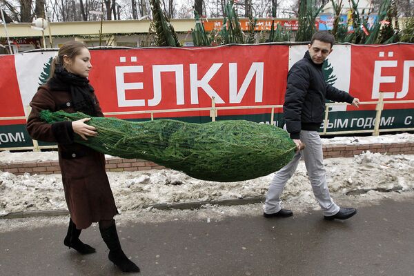 Начало работы елочных базаров в Москве