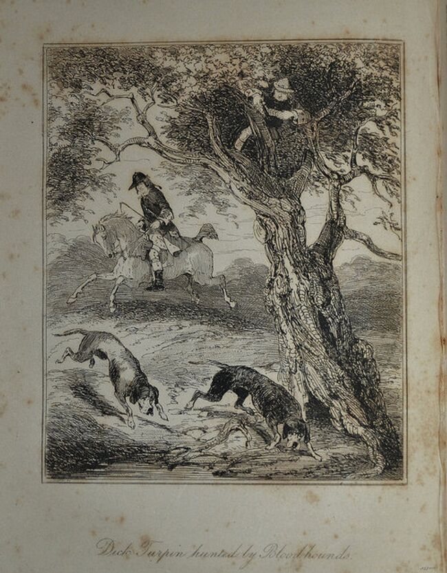 Легендарный английский разбойник XVIII века Дик Турпин