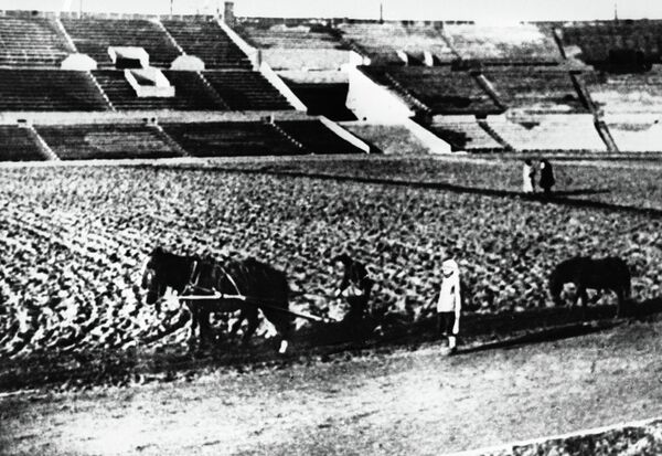 Работники стадиона Динамо сеют газон