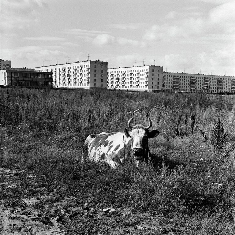 Панельная фотохроника о самом массовом жилье в России