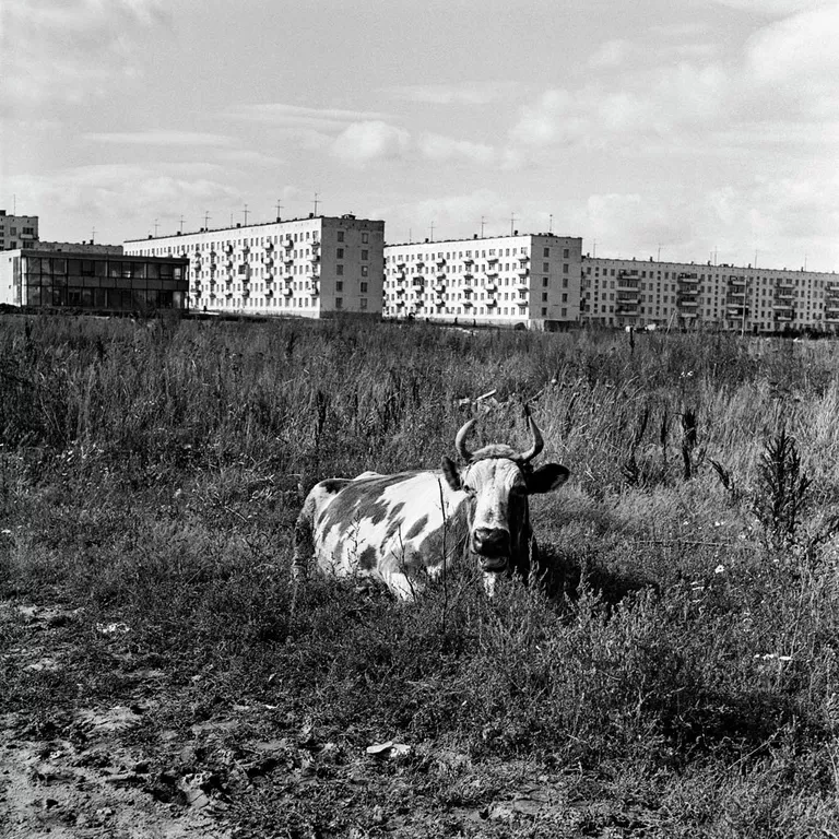 Панельная фотохроника о самом массовом жилье в России Панельная фотохроника о самом массовом жилье в России