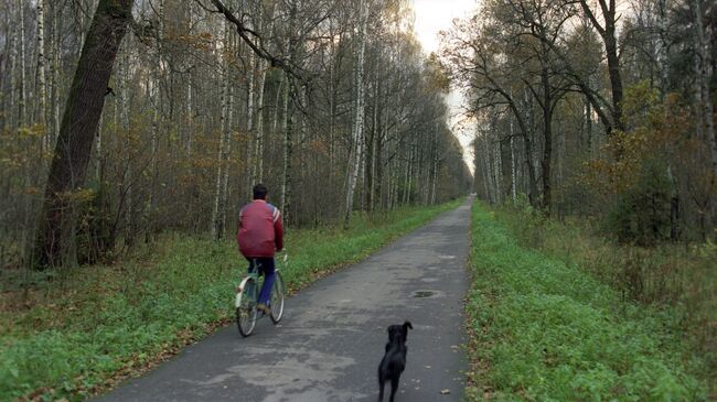 Национальный парк Лосиный остров