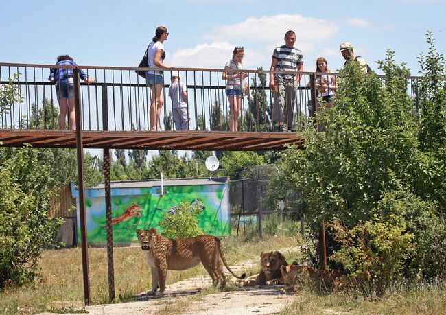 Посетители в сафари-парке