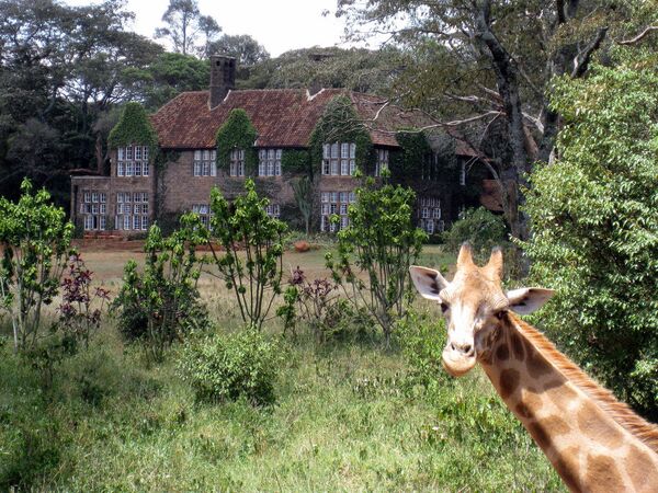 Поместье жирафов в Кении