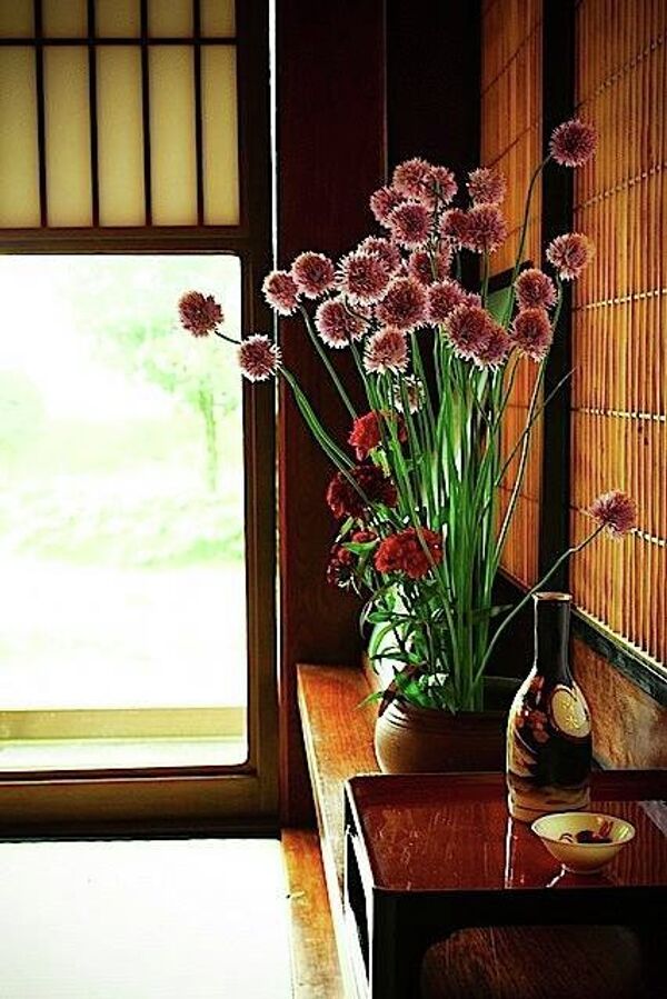 Цветы Востока: как эффектно украсить квартиру с помощью икебаны