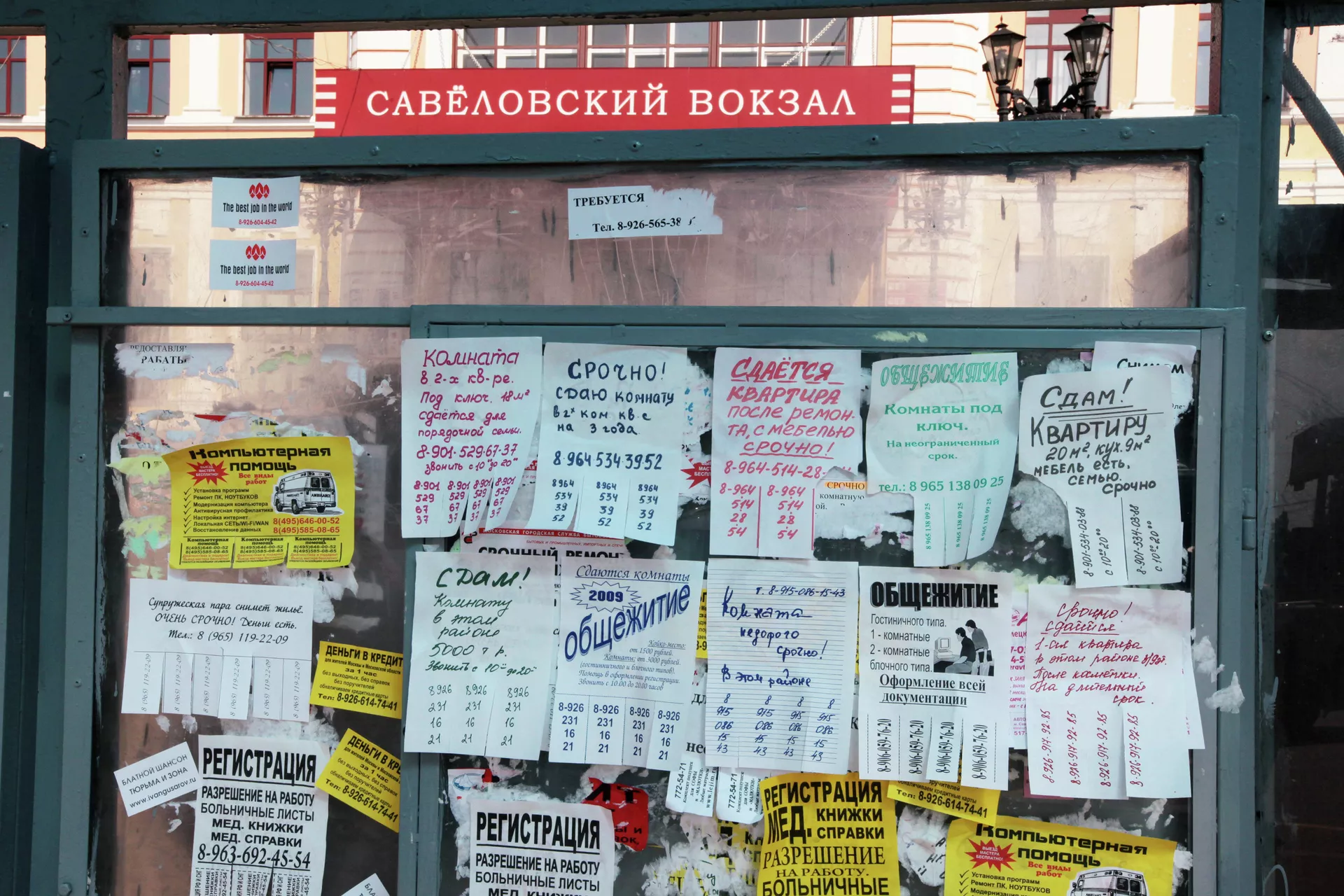 Доска с объявлениями купли-продажи - РИА Новости, 1920, 17.02.2015