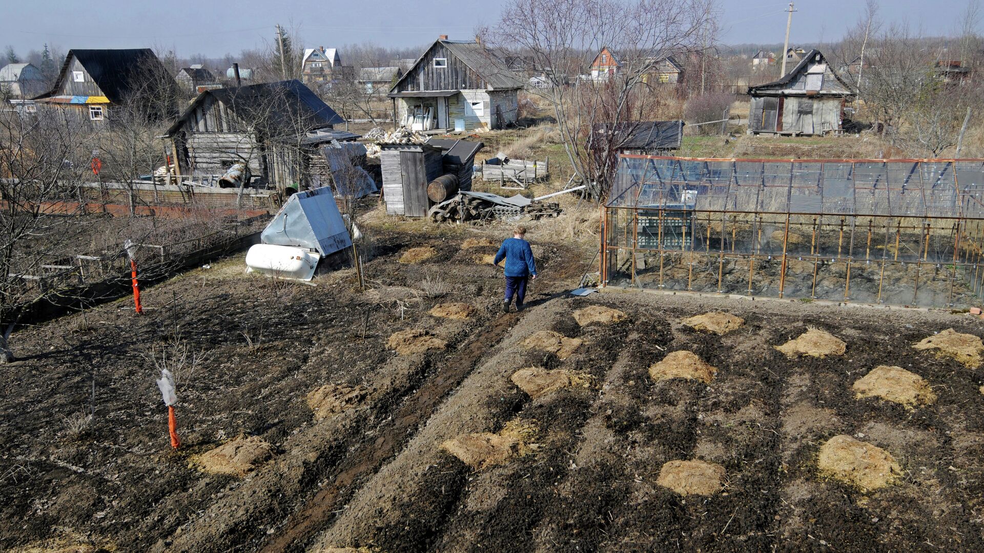 Начало дачного сезона - РИА Новости, 1920, 05.03.2015