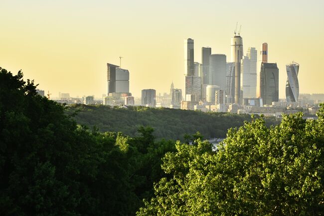 Здание МГУ и Воробьевы горы