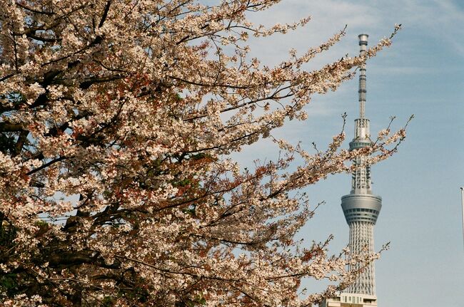 Tokyo Skytree