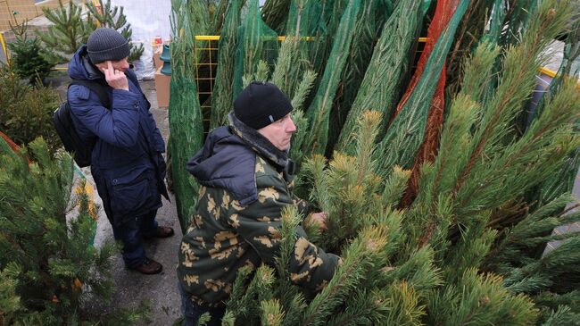 Открытие елочных базаров в Москве