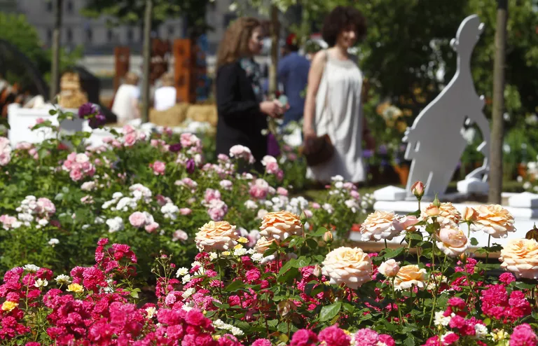Открытие фестиваля Мoscow Flower Show Открытие фестиваля Мoscow Flower Show