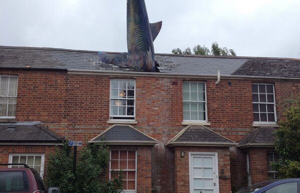 Акула на крыше дома в Оксфорде