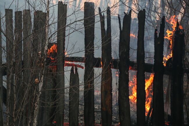 Лесные пожары в Амурской области