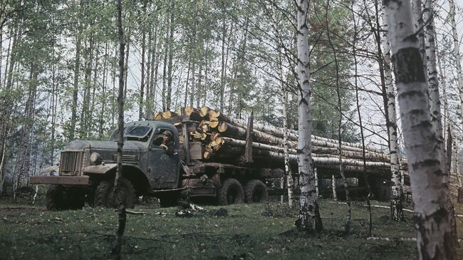 Руткинский леспромхоз