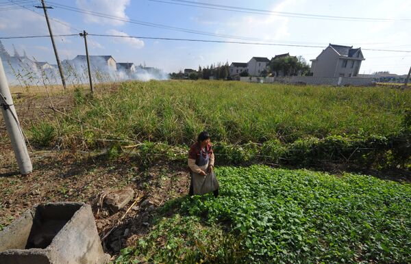 Фермер на поле в деревне Квилонг на месте будущего района Пудун