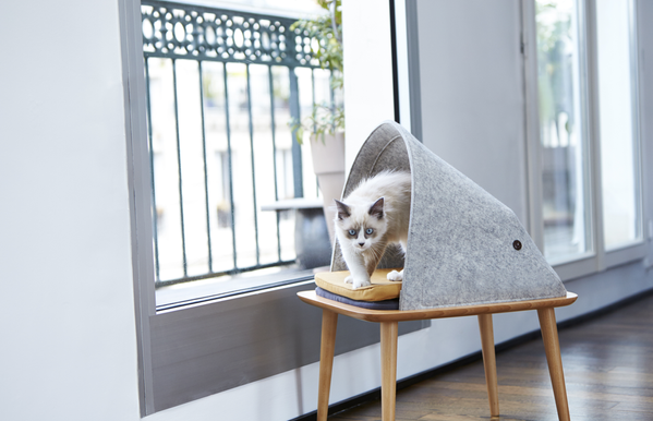 Звериная мебель: как обустроить в квартире жилплощадь для котиков
