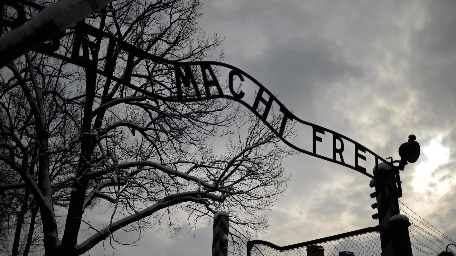 Концентрационный лагерь Аушвиц-Биркенау в Освенциме в Польше - РИА Новости, 1920, 24.01.2020