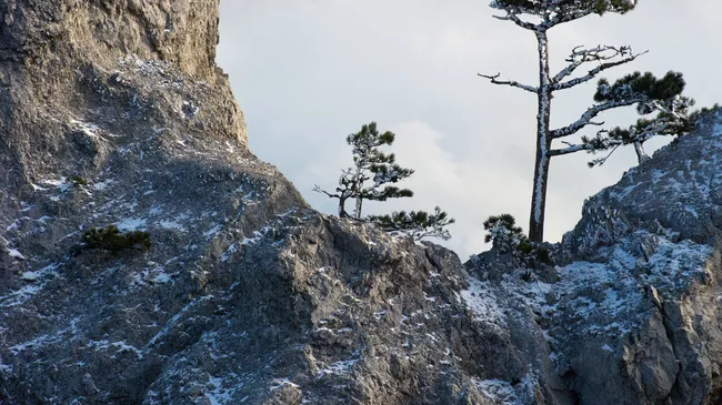 Зима в Крыму