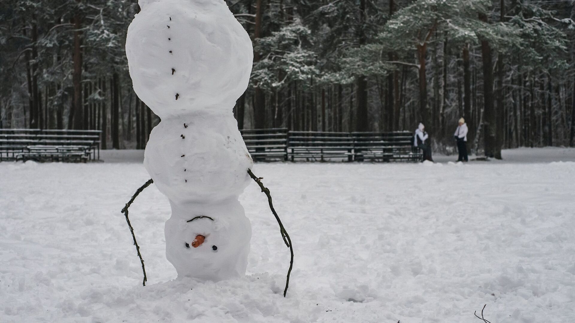 Врач посоветовал лепить снеговика, чтобы укрепить мышцы