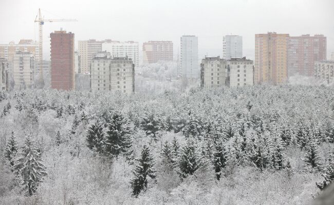 Заснеженный лес на фоне города Троицка