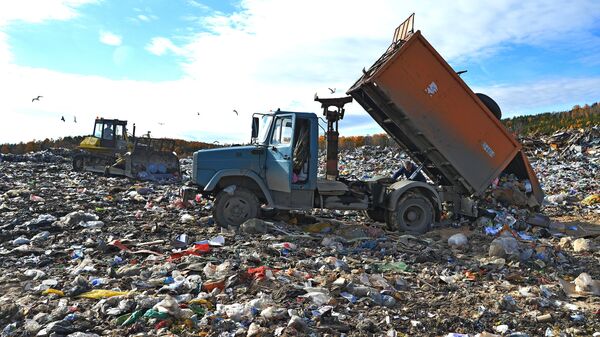 Сортировка и утилизация бытовых отходов