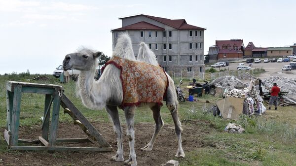 Снос строений на плато Ай-Петри в Крыму подходит к завершению