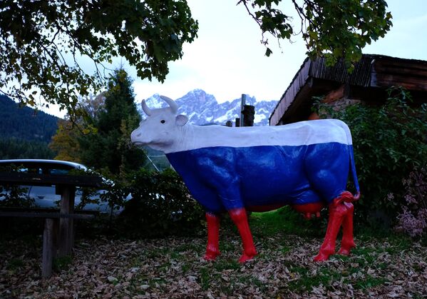 Фигура коровы, окрашенная в цвета российского флага, в австрийском Рамзау