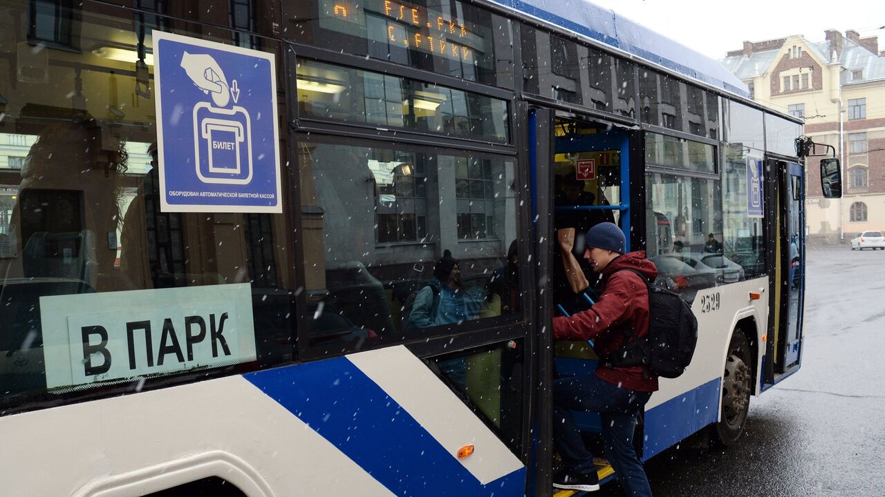 Петербуржцы обсуждают розыгрыш женщины, тащившей скамейку в троллейбус -  РИА Новости, 18.12.2020