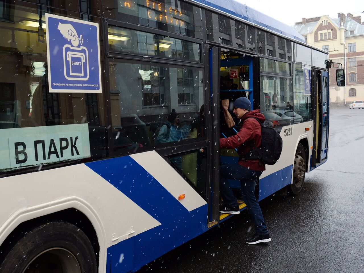 Петербуржцы обсуждают розыгрыш женщины, тащившей скамейку в троллейбус -  РИА Новости, 18.12.2020