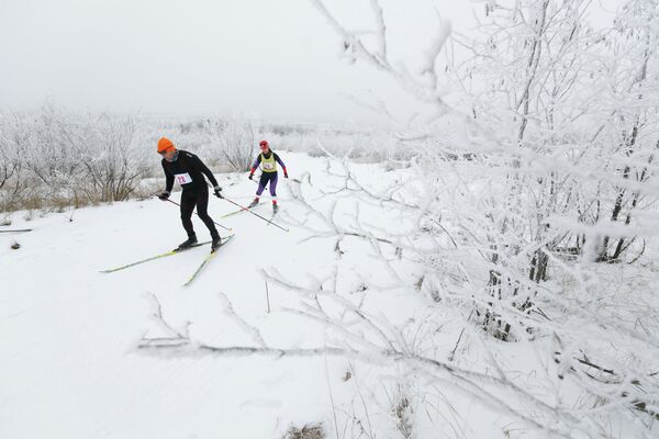 Участники забега открытого первенства по лыжным гонкам в рамках Всероссийского Дня снега в Волгограде